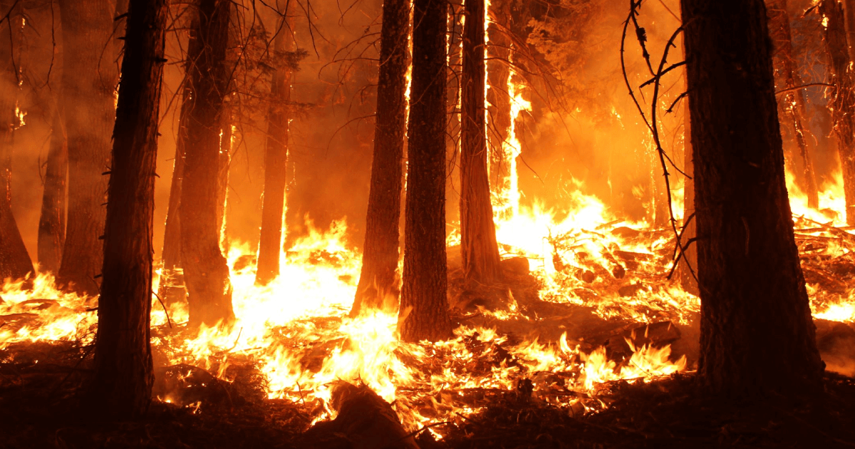 6 Wildfire Evacuation Preparation Tips