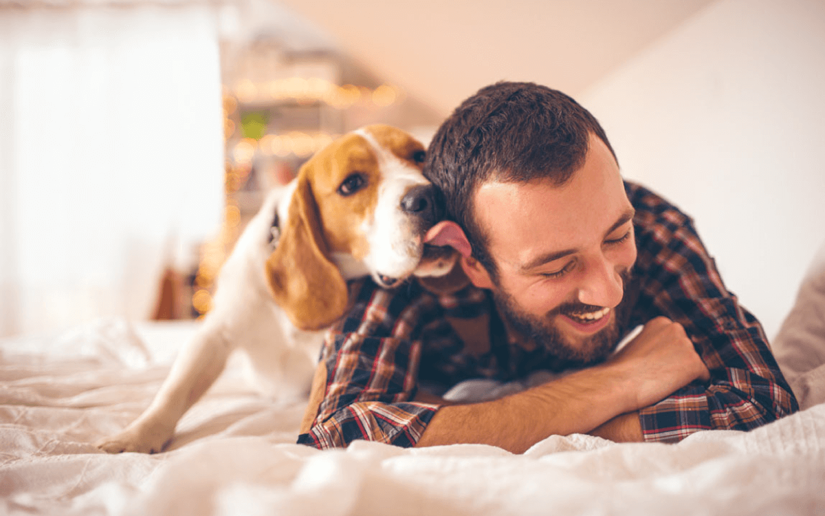 Pet Tips for Apartment Living